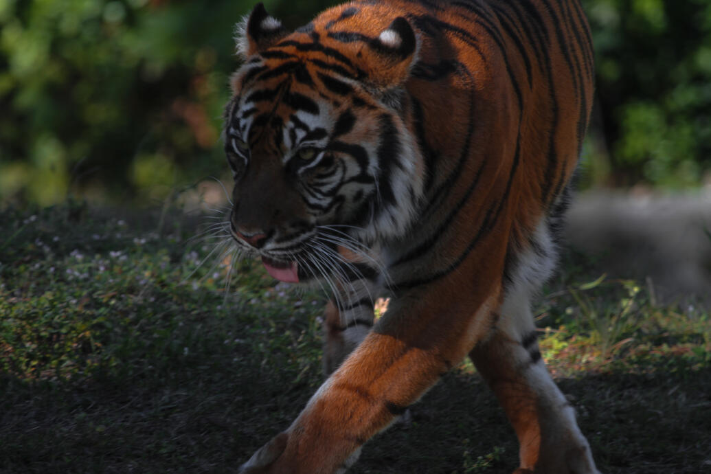 Zoo Miami