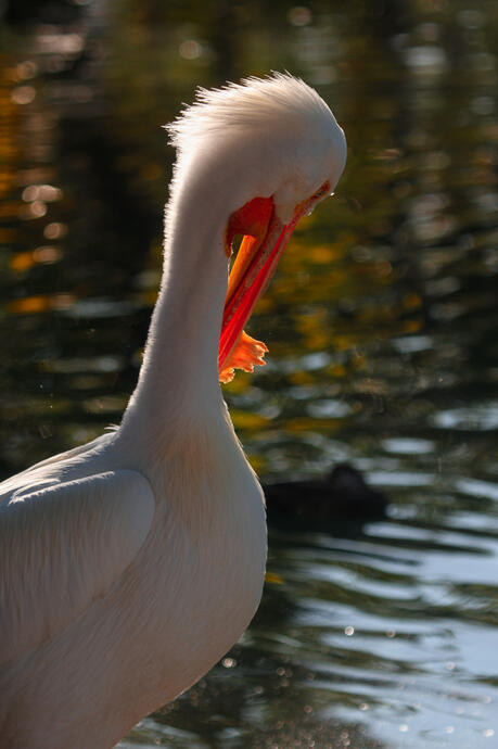 Zoo Miami